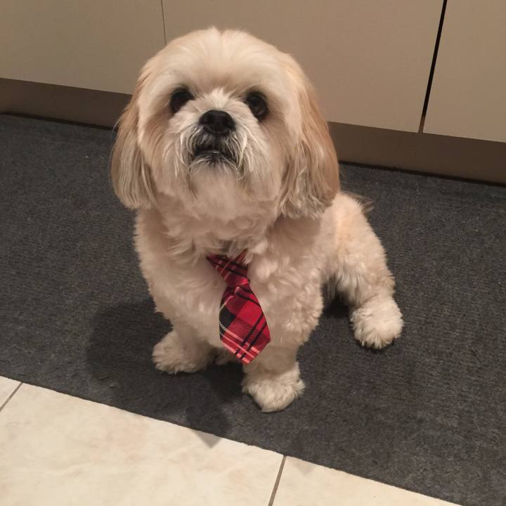 56c0e4fe 88d2 4ce1 bed8 ed2e0a480323