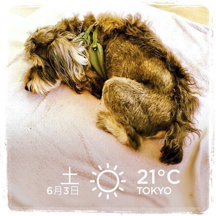 56c10dd4 665e 43be 8f01 25b00d2a9567