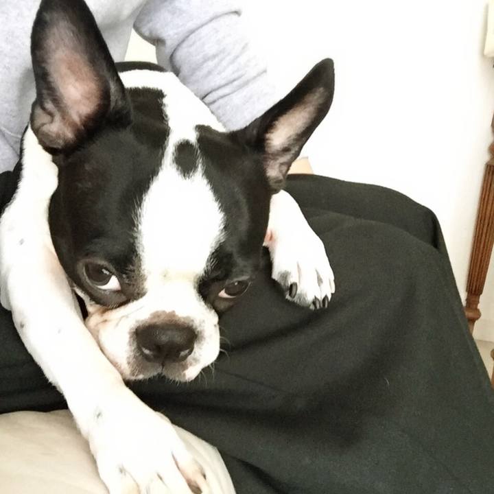 56c13af7 8ff0 4ac3 91e1 afbf9d823362