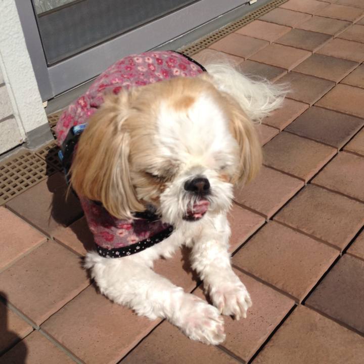 56c18fd1 e19b 4741 b49b c45e37ee36db