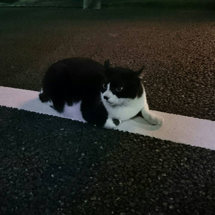 56c19293 fd9b 413d 85e0 b59df56593e5