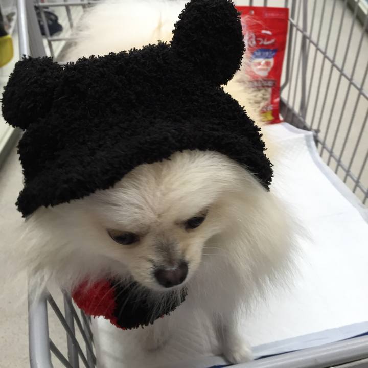 56c254ee e1d6 4964 8156 d3be379d6819