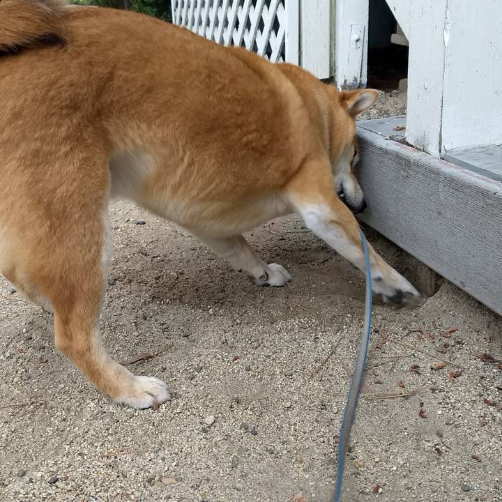 56c25e00 27d6 4e20 8881 1057b0794019