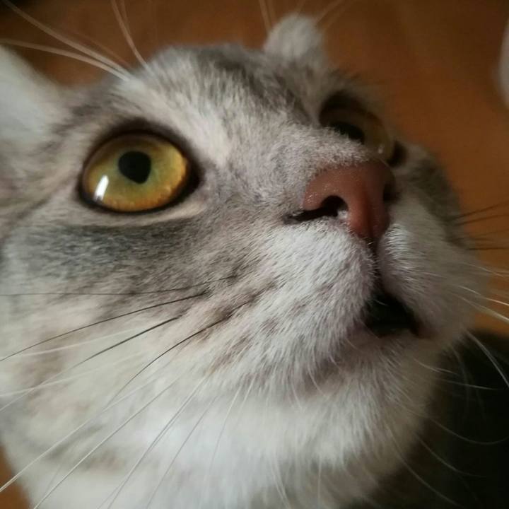 56c2a49b 3d7a 4ac6 8369 deb8c7a2c123