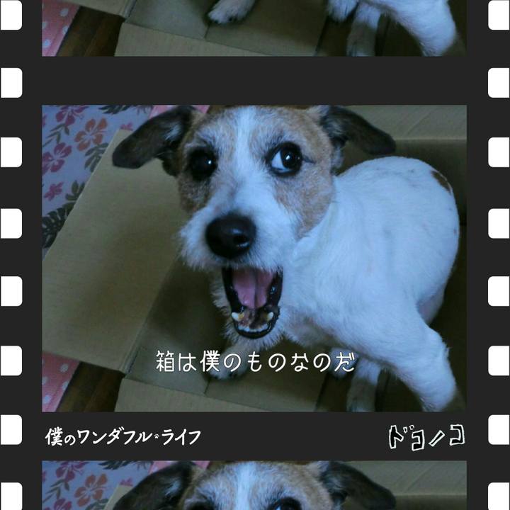 56c2bb41 e03f 435a 9641 2f941f4dae59