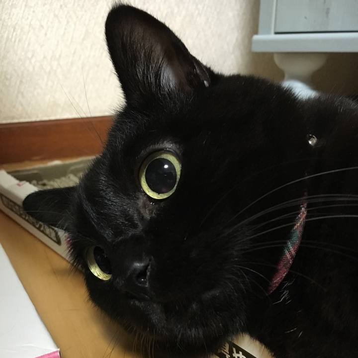 56c2cd94 07c1 4163 9614 f2bab9599d0a