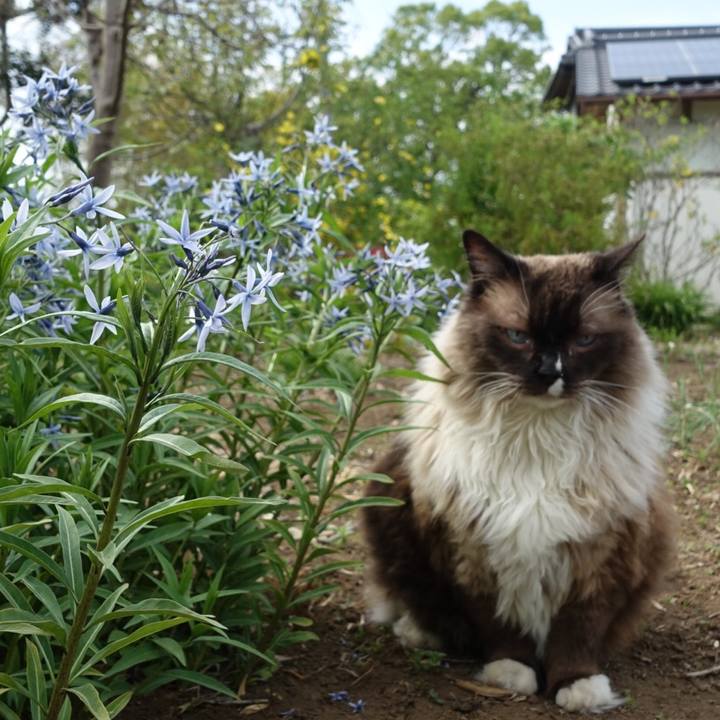 56c3330b a168 4849 adaa 4ab42e6e9323