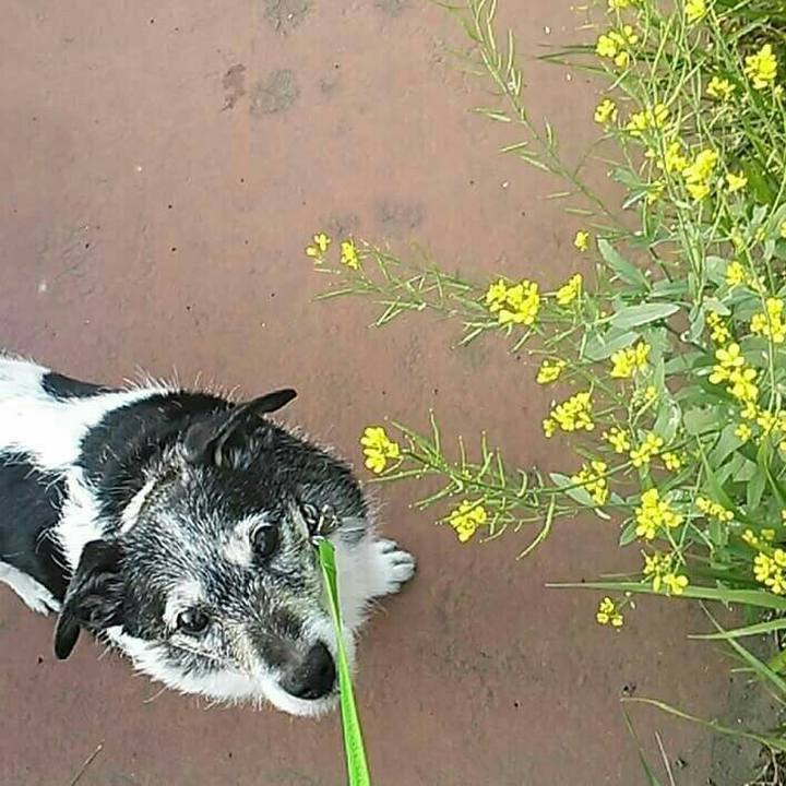 56c3c37f 7145 485e 8114 b2750d217de7