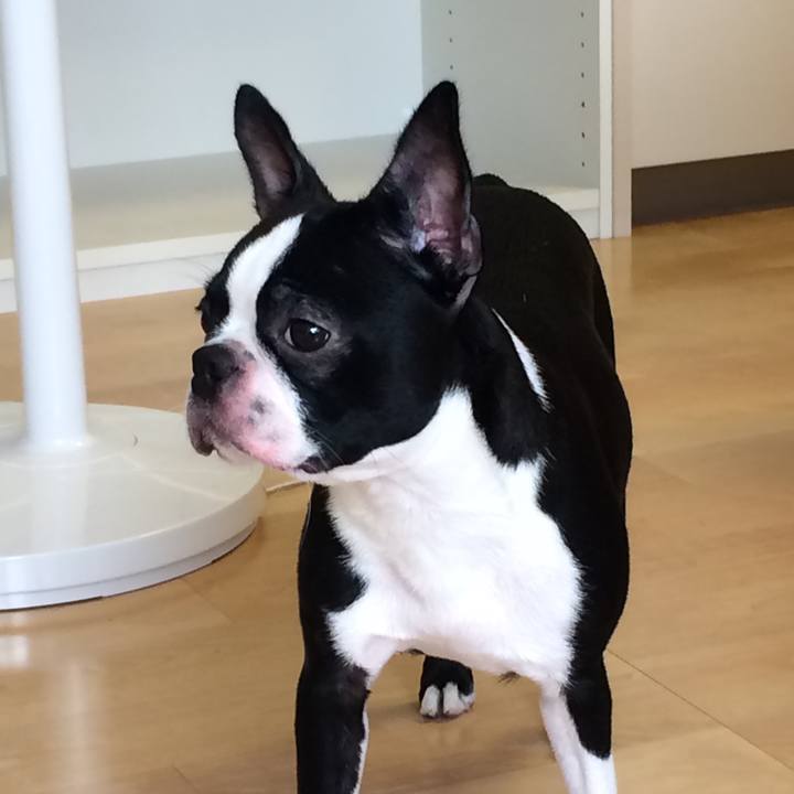 56c48f84 0694 4937 9088 325c82d7df91