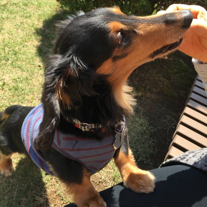 56c4de9f 9320 4b9c 8fea 61cfba53835a