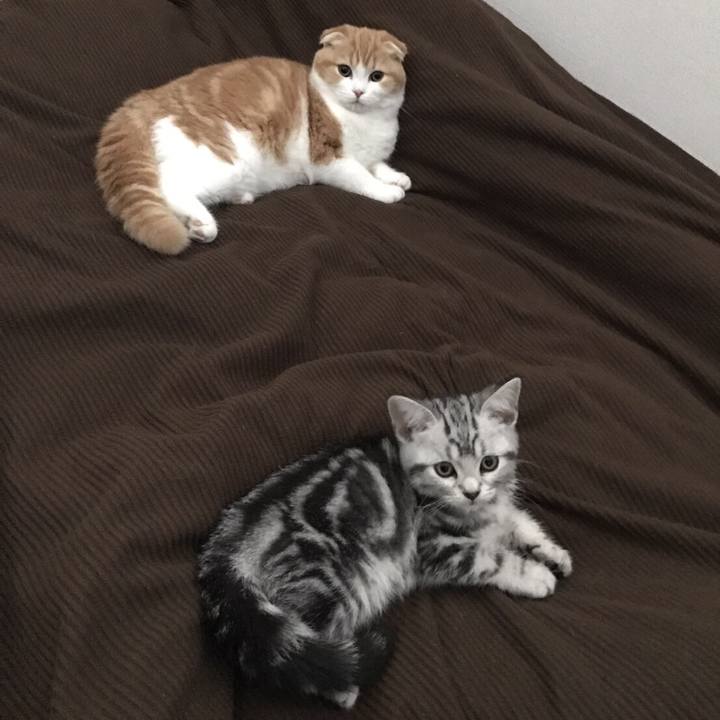 56c4fb60 b31c 445e a655 cdc5c0c77554