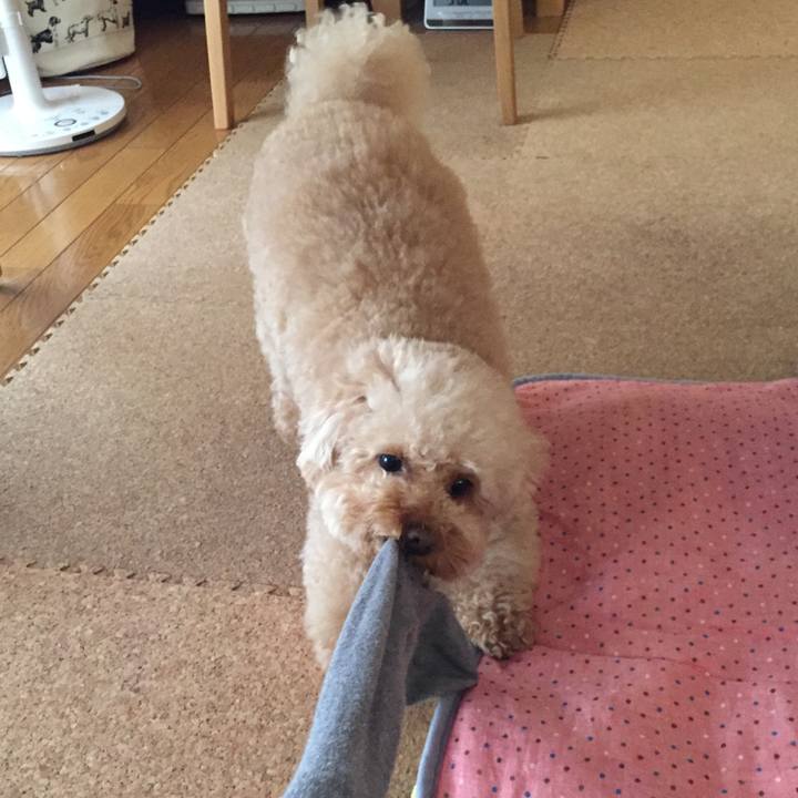 56c52279 38ad 488e b4ac a5979604ce6a