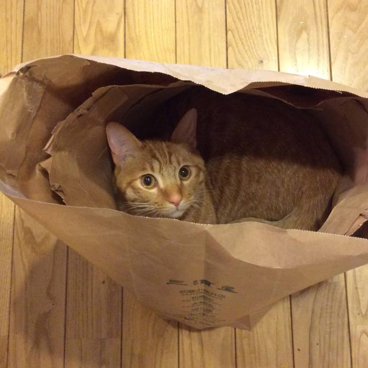 56c6405d 4dd5 4712 a1d5 515ef59c7759