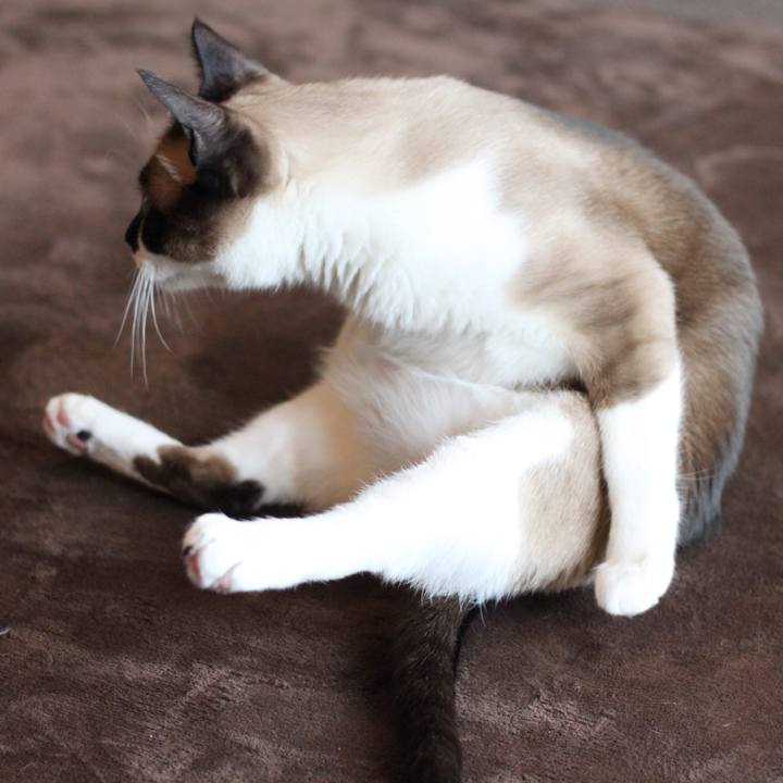 56c66825 b07b 410f baa3 30d98ed670c5