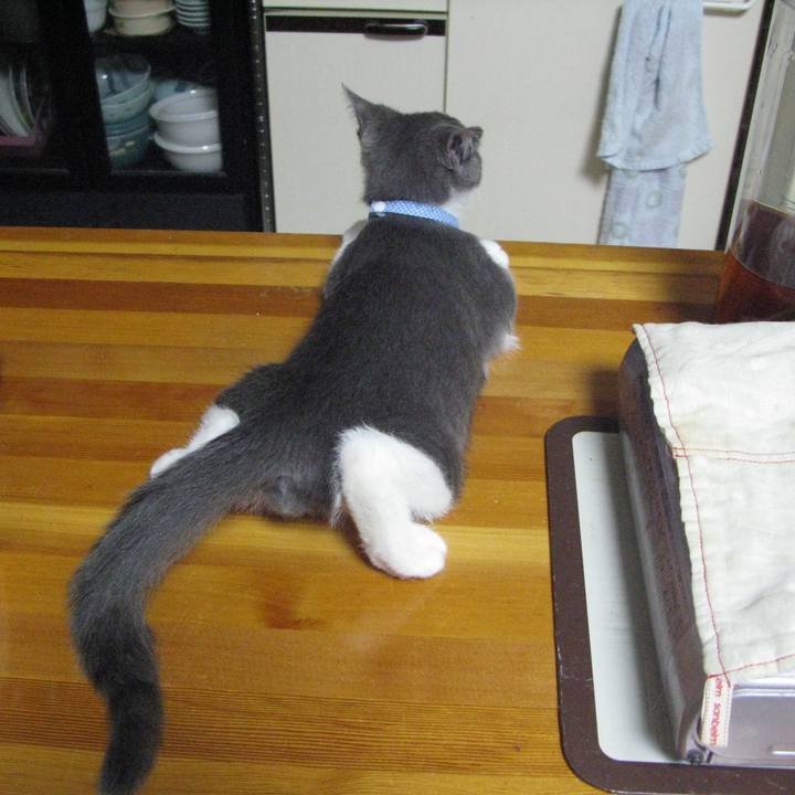 56c76a7f 0046 49d0 acd7 96a735f5583e