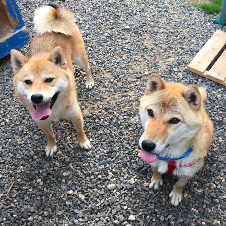 56c7dd9c 81a6 47cc 926a 9c052cd5eae7