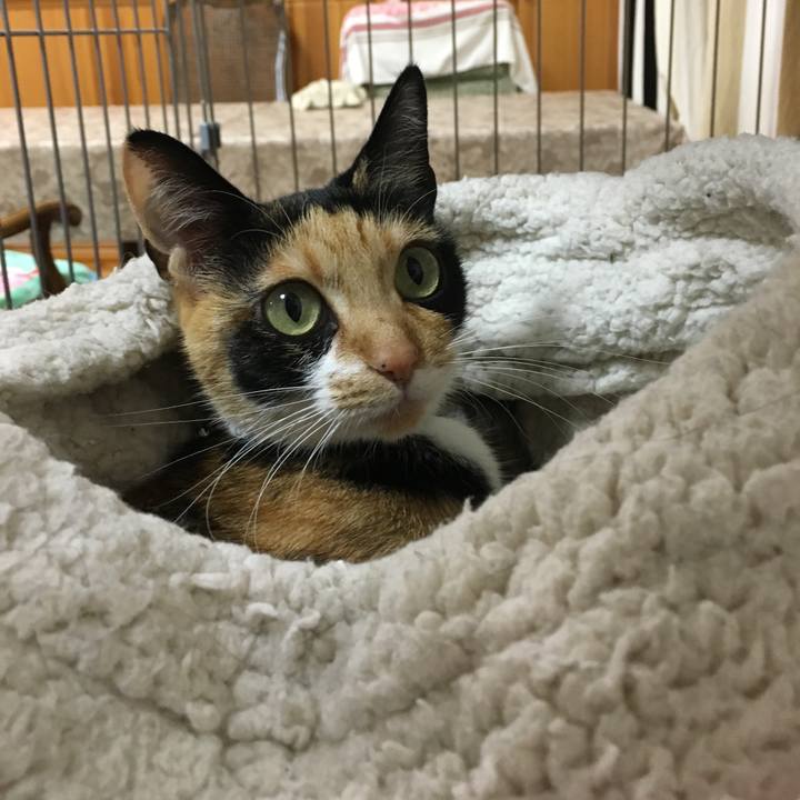 56c7e3f4 917f 4238 876d f2fb9ad4ef3c