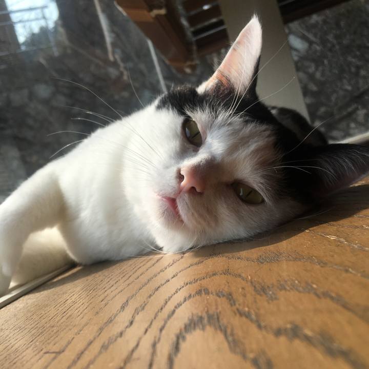 56c830cf 1fa4 4c12 823e c52310602514