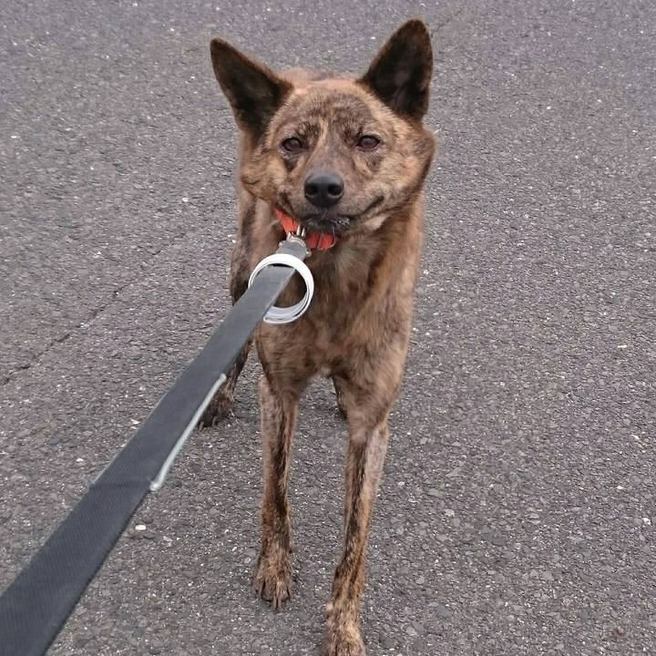 56c830e6 3d69 45c9 ba49 ded4fa8da3b5