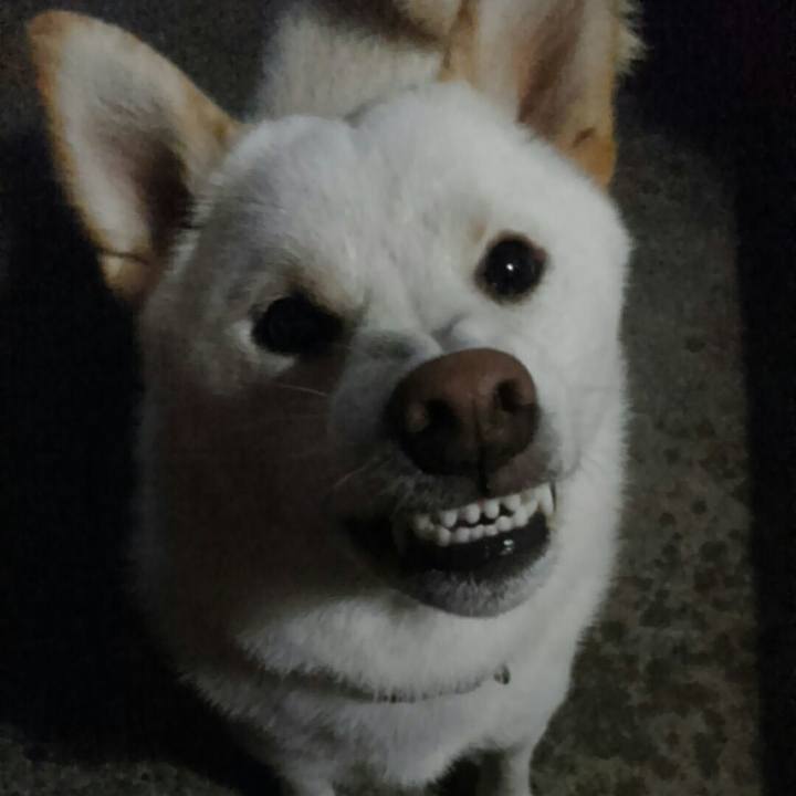 56c83128 6284 4764 b5b1 e0a3117652d7