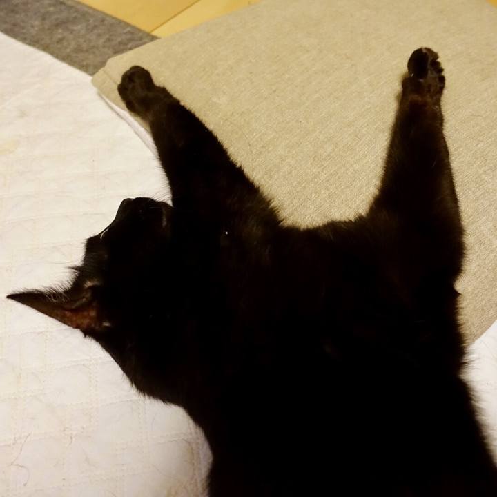 56c84487 86c7 4baa 83db f00a908498dc