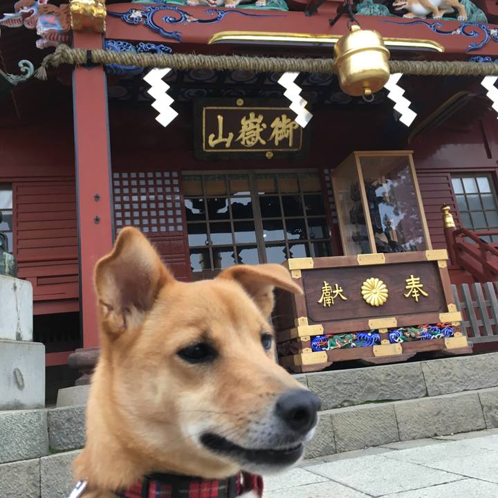 56c854c9 33a4 48bc 864a 40e52997efa9