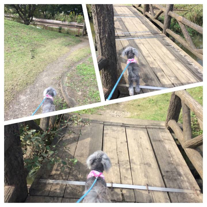 56c89ad3 6309 47ec 86ef 03f5aa2d93ea