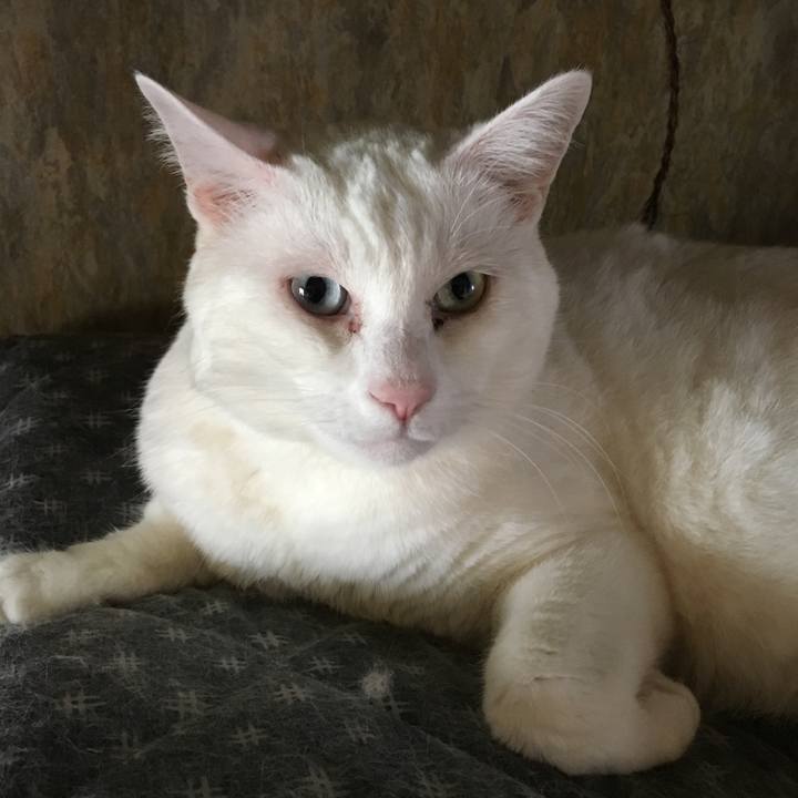 56c89f2e 0e05 4185 b565 be4768095a16