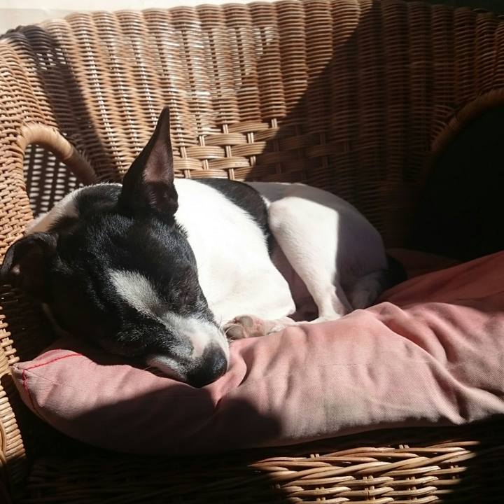 56c8e4cb fae5 403b a77e 34b85bb60336