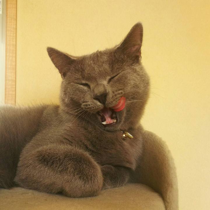 56c99e72 075f 488c 8d9e 18c00fc4499f