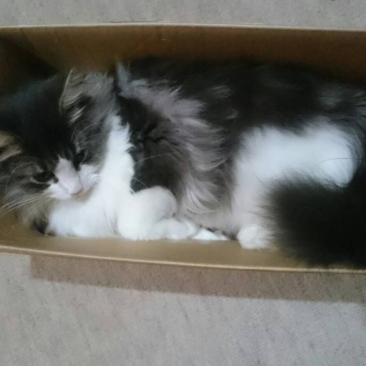 56ca125d f9e8 403f 97d2 d68880548d48