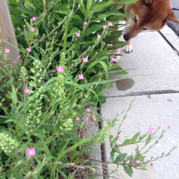 56ca34b1 4ef1 44ca a762 1b7516e577a0