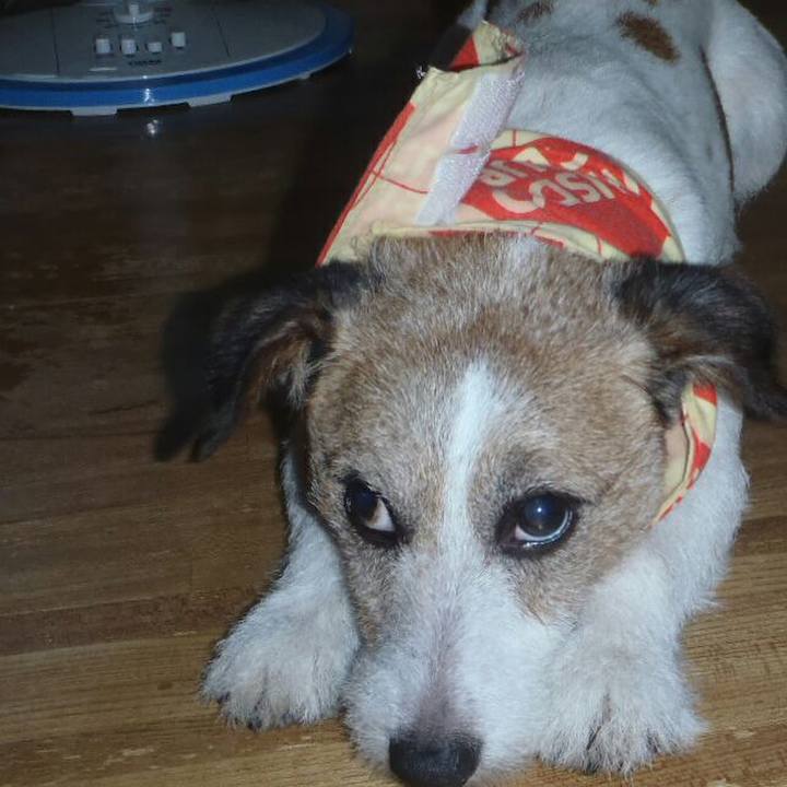 56ca3786 eaa6 4784 ac97 2ee767cc3f90