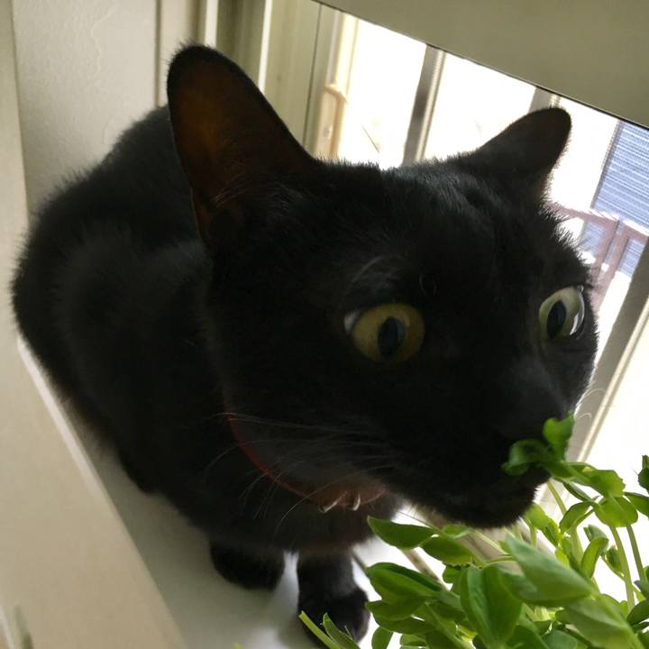 56cac36f 158a 4087 b2e6 be6181b2087b