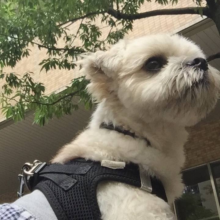 56cafafd 8854 409c b6f9 c786effb83fd