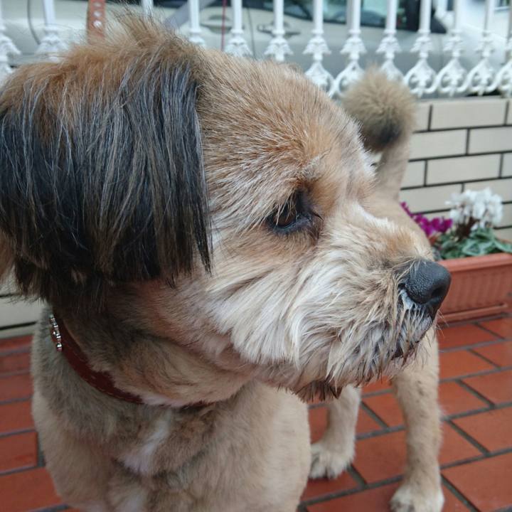 56cb3e9a 2d89 4075 85cc 99bb799f4208