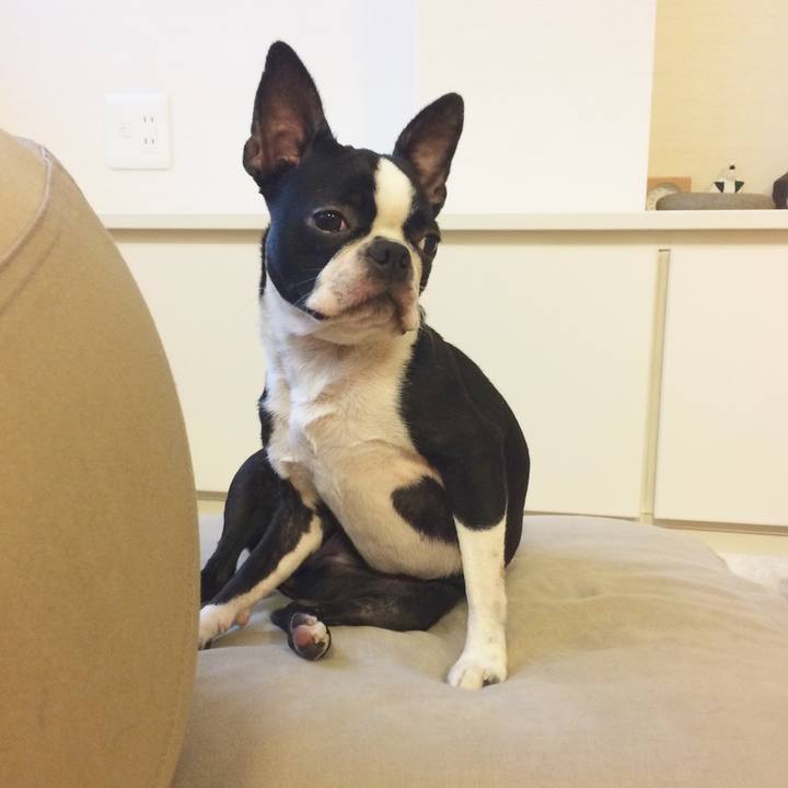 56cbb863 f944 472c 84dc 0b98e771bb6d