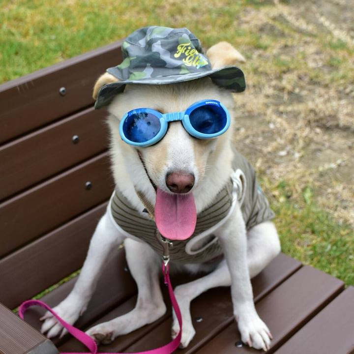 56cbbf0c fefe 4ea4 b4b9 b34cc7cfa78e