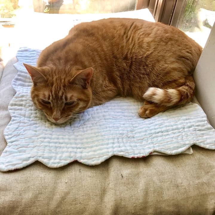 56cc6e10 b1cc 4fd6 822a d588590a598c