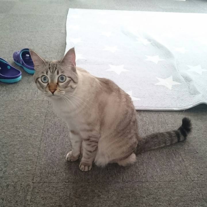 56cc7b43 df89 4b18 ba2a 9c6f05885273