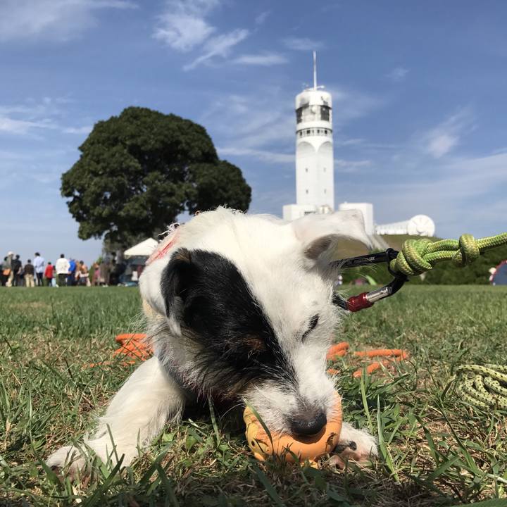 56cc8a24 f632 4770 b0f7 53e729b896f3