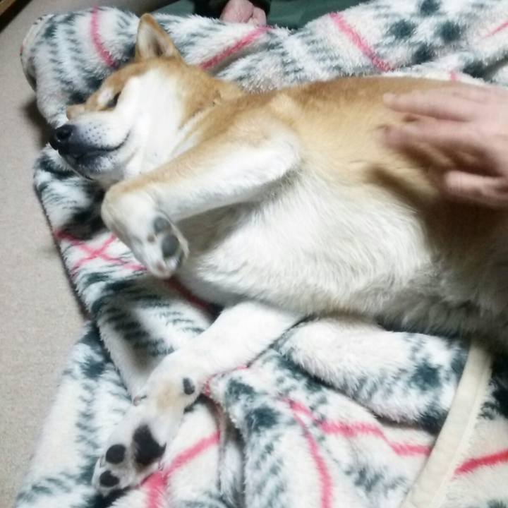 56cce730 19f6 4ccb b97a 7c025b2614a1