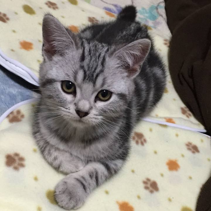 56cd16fd 104c 42a9 b6d2 b288d7f66fb5