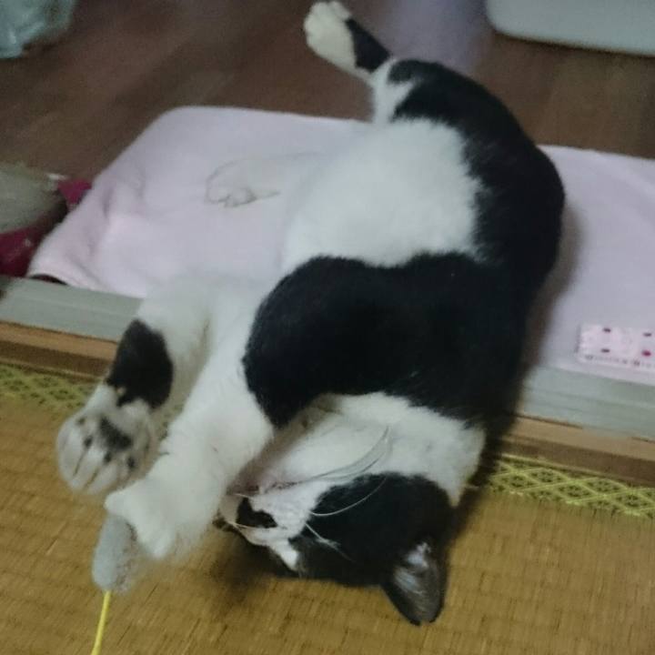 56cd1d27 1eb0 4670 8e17 efd3823eaba9