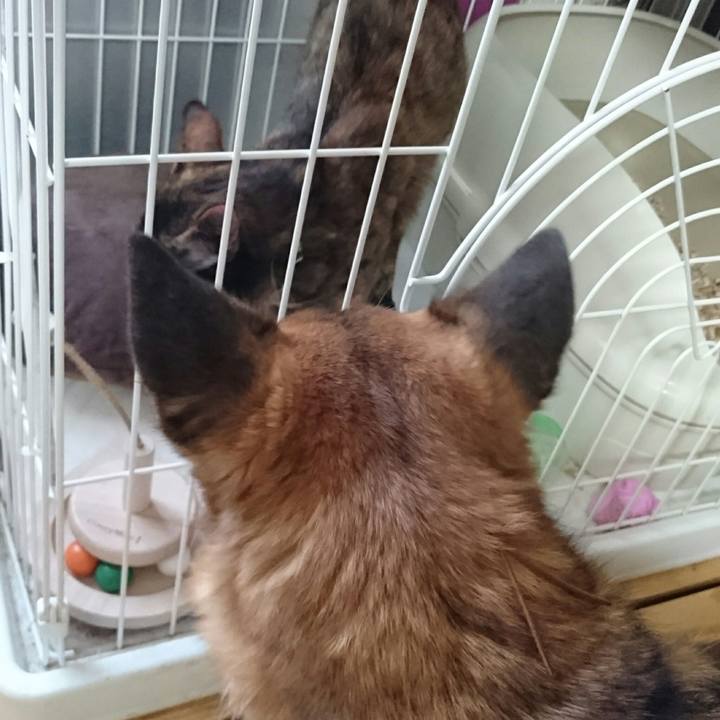 56cd3946 a4ee 44c8 ae9c ee249e433951