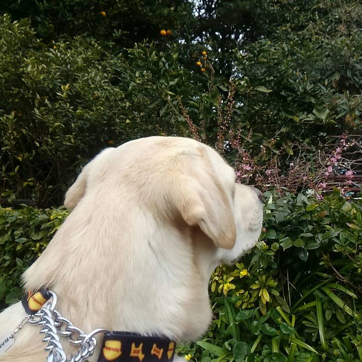 56cd5031 8bc6 4b74 b7e8 cae8c1f4a93f