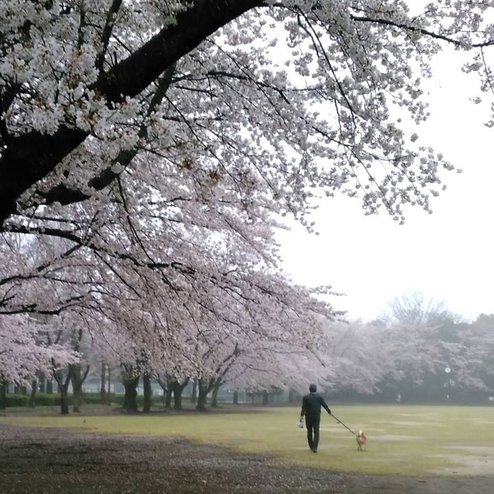 56cde86e adee 4d43 bf28 1b3cb2ecc951