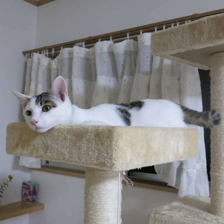 56cdf587 8222 4281 8bcd ccabff6a89ec