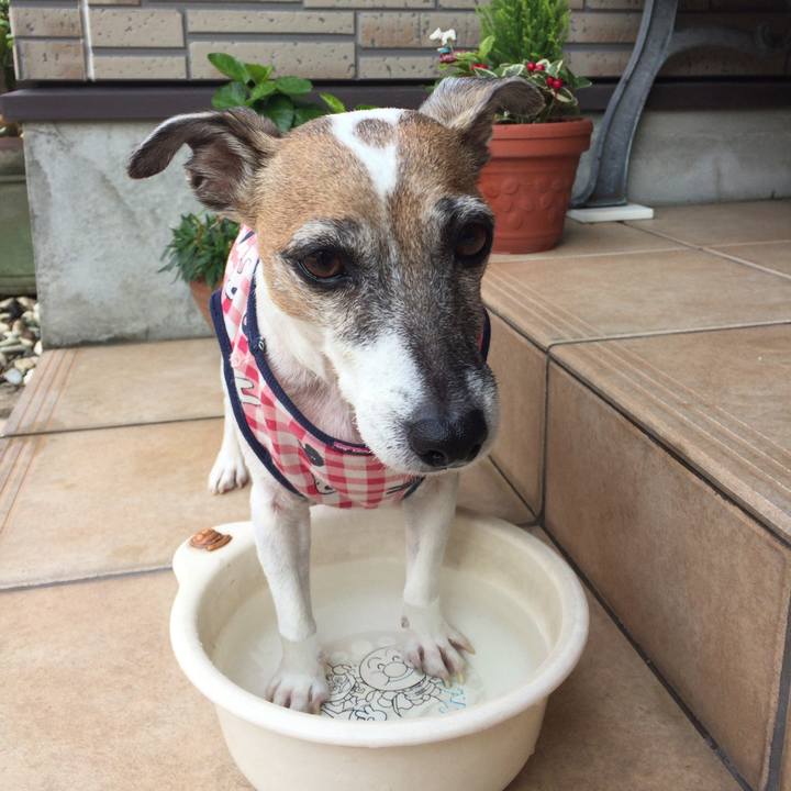 56ce4a44 2f0a 4165 bfeb 94034cc5875b