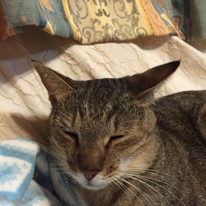 56ce7b15 070e 43ef b18b a6ac9afdbd4f